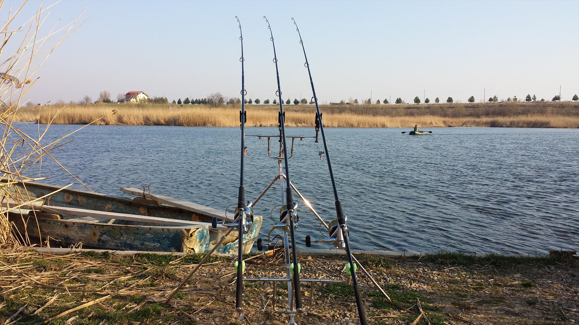 Tancabesti 14 - 16 mar. - 2014-03-14-1626351.jpg